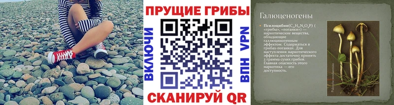 где купить наркоту  Протвино  Псилоцибиновые грибы MAGIC MUSHROOMS 