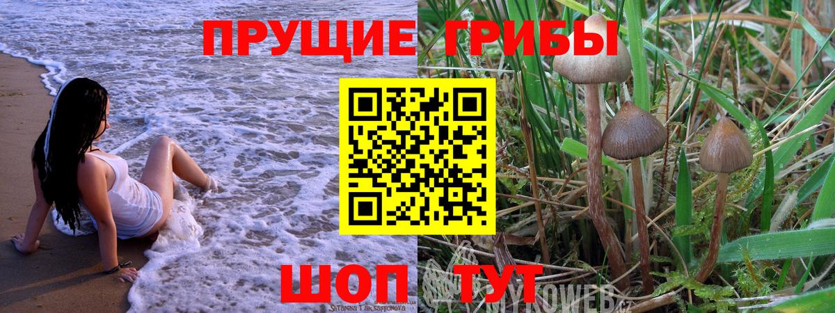 Псилоцибиновые грибы мухоморы  Вход с VPN  Протвино  Галлюциногенные грибы ЛСД 