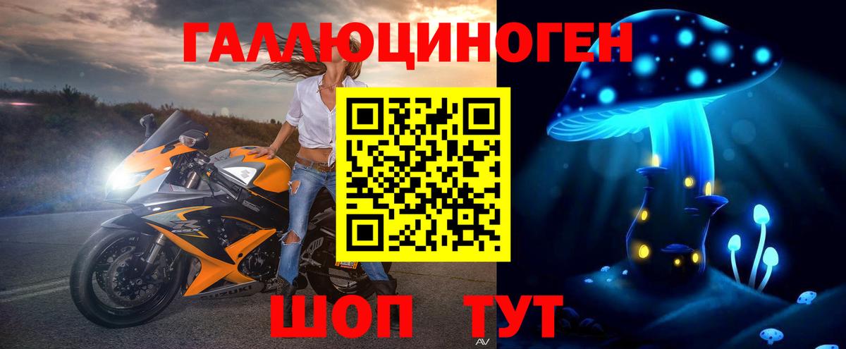 Псилоцибиновые грибы мицелий Протвино