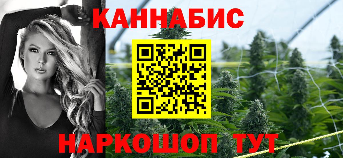 Бошки марихуана планчик  Марихуана Bruce Banner  Вход с VPN  Протвино  Конопля конопля  Каннабис конопля 